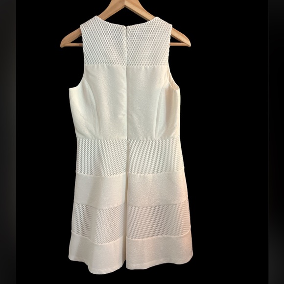 6P Ann Taylor Mesh Panel Dress - Picture 8 of 9